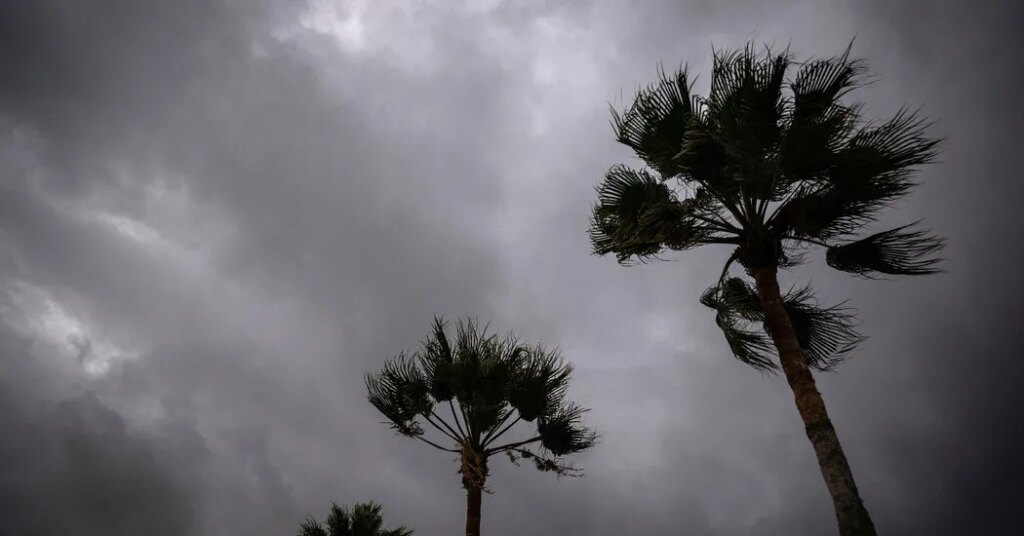 Southwestern U.S. Braces for Heavy Rain From Hurricane Polo
