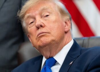 Taxpayer-funded Trump ads violate laws against propaganda, experts say. The White House calls them a ‘reminder for Americans to love their country’