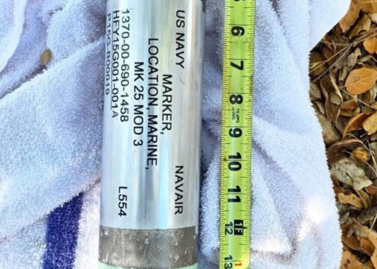 ‘Bomb-like’ marine marker among unusual items that El Niño has washed onto California’s shores