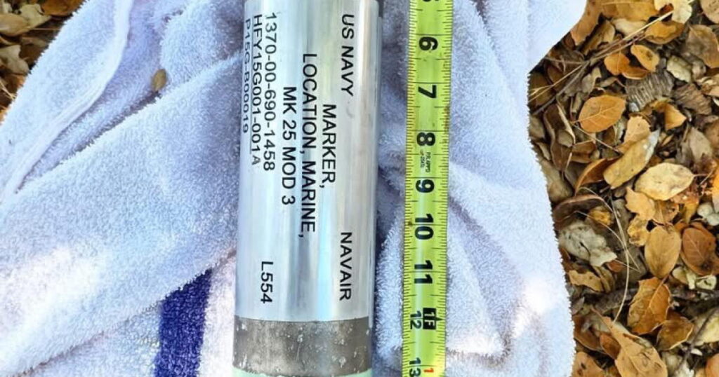 ‘Bomb-like’ marine marker among unusual items that El Niño has washed onto California’s shores