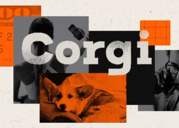 Corgi girls, ugly lawsuits, and cute dogs: Inside a wild $5 billion startup