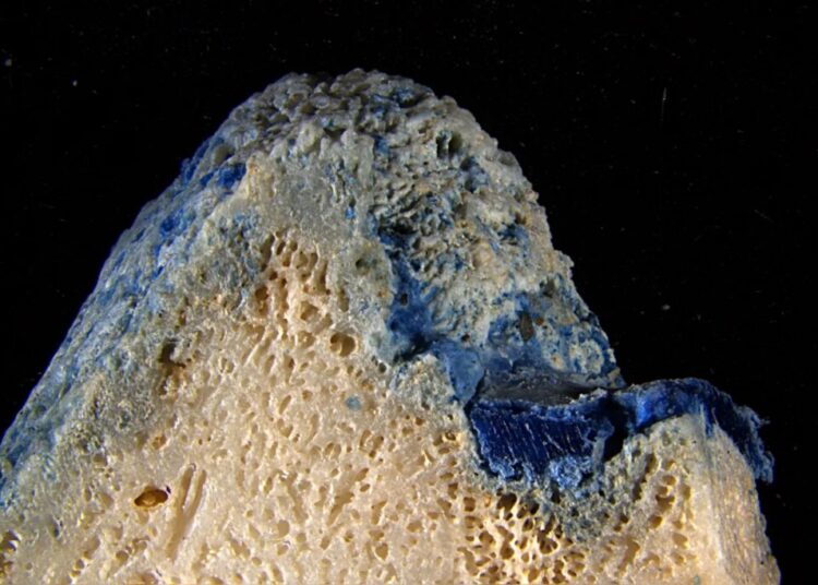 Plastic Is Melting Onto Corals