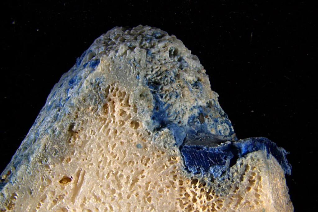 Plastic Is Melting Onto Corals