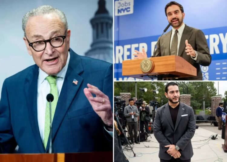 Chuck Schumer’s definition of ‘antisemite’ would include Mamdani, Senate hopeful El-Sayed