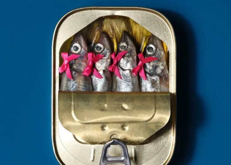 I Surrendered All My Decisions and Desires. All It Took Was Many, Many Tins of Fish.