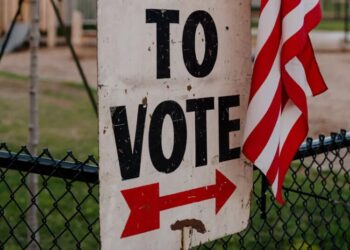Black Voting Groups Prepare for Disinformation Campaigns in the Midterms