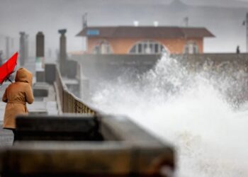 Scientists Alarmed by “Kelvin Wave” That Could Raise California Ocean Level by a Whole Foot