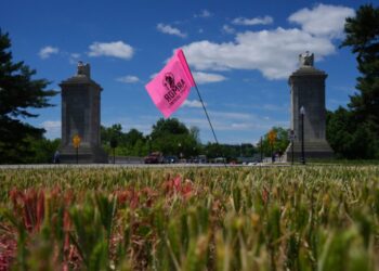 Officials cast doubt on Trump’s plan for drones, snipers at proposed arch
