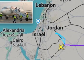 Israel-bound plane forced to make emergency landing after pilots’ brawl sparks hijack fears: reports