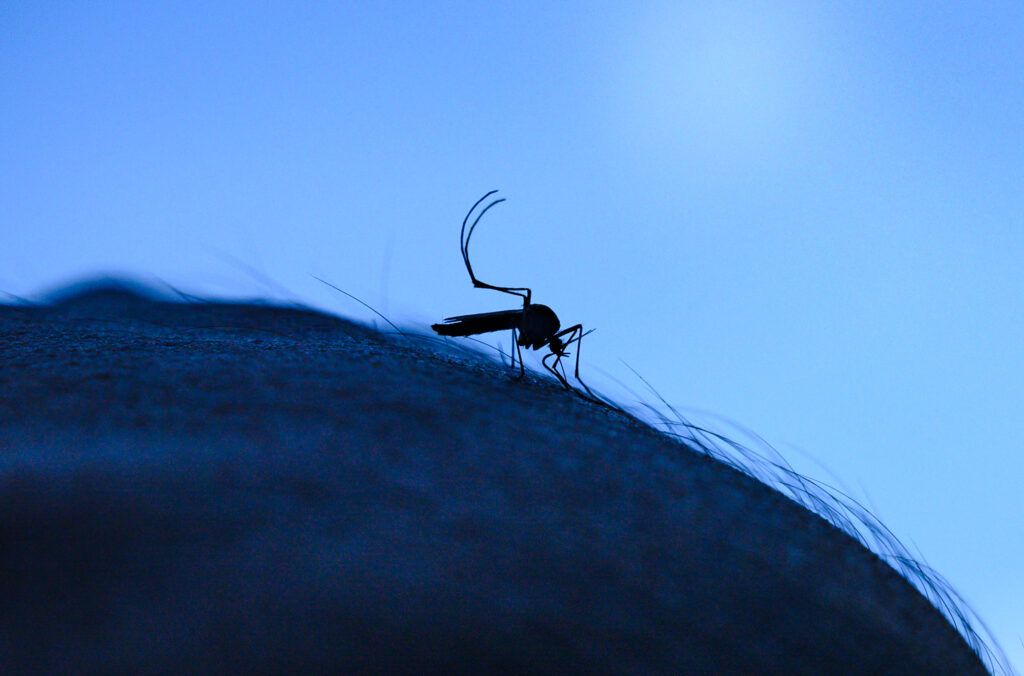 Trump is taking on D.C.’s mosquitos