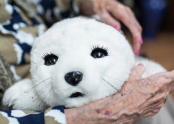 Why Confiding Your Woes to a Robot Isn’t Going to Help