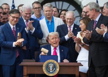 Immigrants with legal status at risk of being dropped from Medicaid