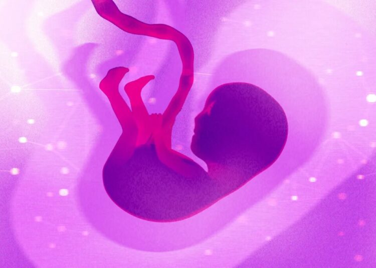 A Biotech Founder Makes the Moral Case for Gene-Editing Human Embryos