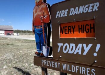 Ford’s Jim Farley says Gen Z needs its own ‘Smokey Bear’ moment for the forest fire of AI paranoia, the jobs apocalypse and the skilled trades