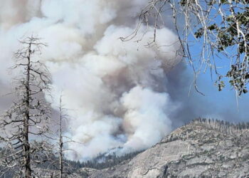 A camper is responsible for deadly Yosemite National Park blaze, officials say