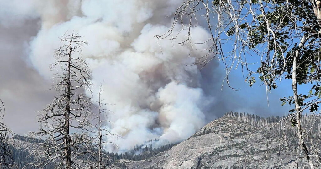 A camper is responsible for deadly Yosemite National Park blaze, officials say
