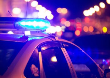 Michigan nurse charged after helping man escape ICE capture: report