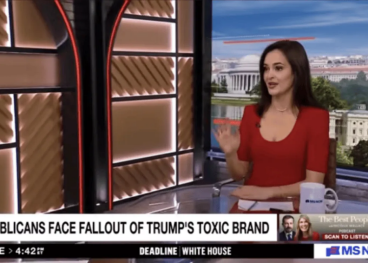 MAGA ‘dam break’ coming after candidate with ‘morals of a lizard’ rejected: strategist