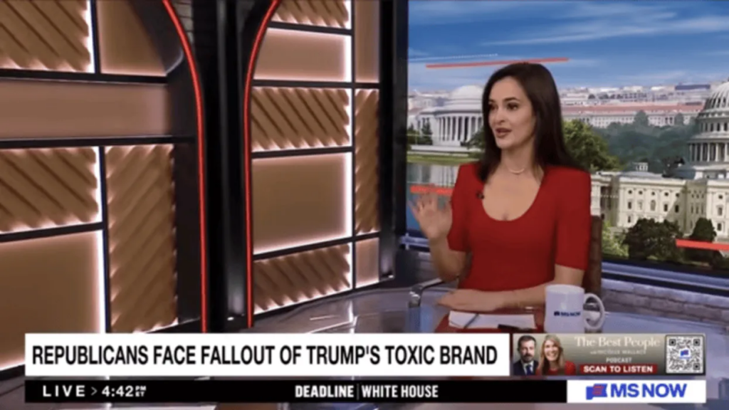 MAGA ‘dam break’ coming after candidate with ‘morals of a lizard’ rejected: strategist