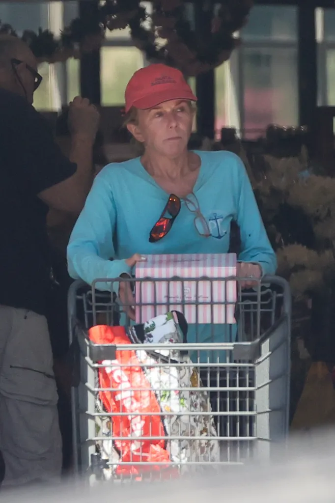 Actress Linda Purl pushing a shopping cart with a birthday cake box and other items.