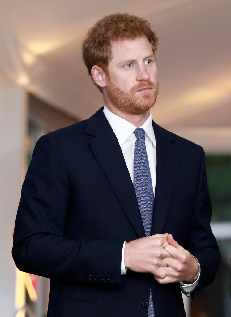 Prince Harry attending the Landmine Free World 2025 reception on International Mine Awareness Day.