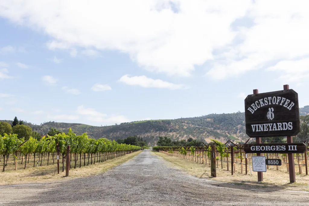 Gravel road leading through Beckstoffer Vineyards in Napa Valley, California.