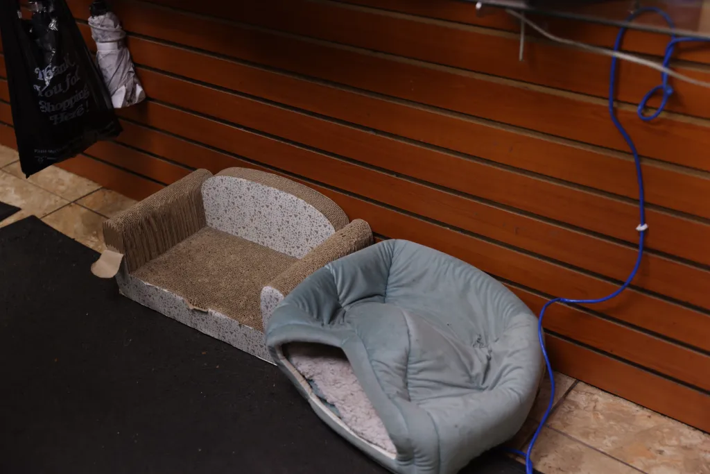 The empty beds for Jabal the cat inside the 8th Street Mini Mart.