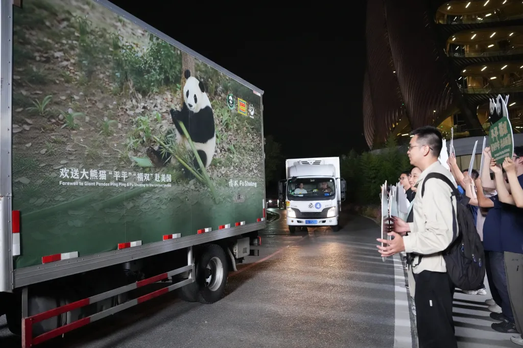 A truck with a giant panda image on its side is driven down a road at night, as people wave goodbye.