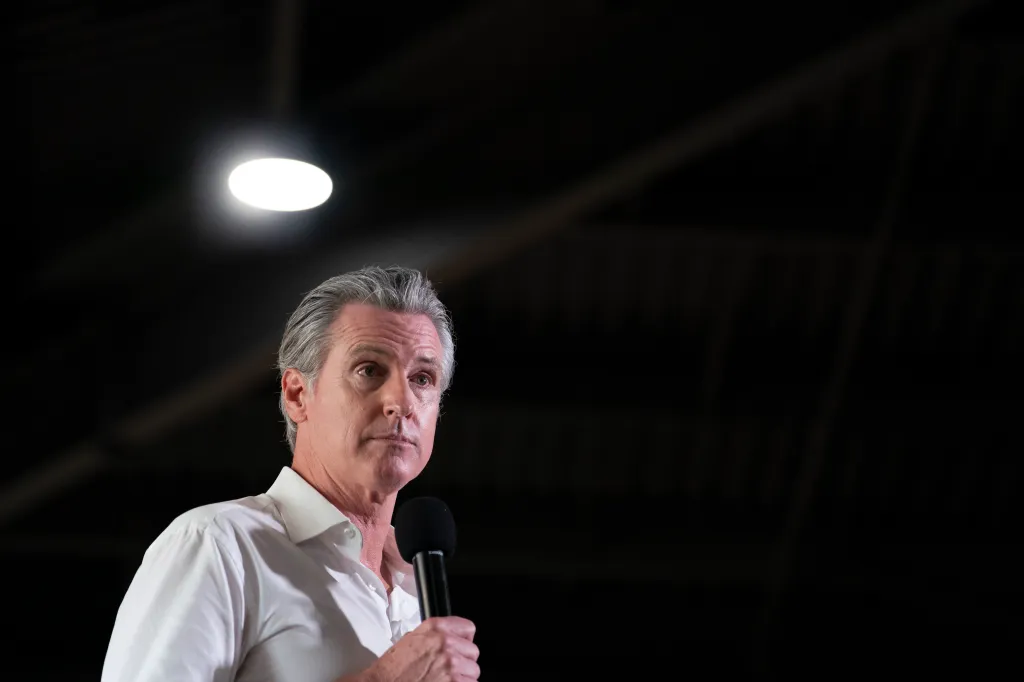 California Gov. Gavin Newsom speaks into a microphone at a Democratic Party event.