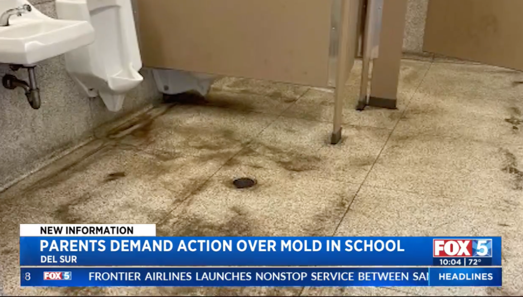 Mold on the floor of a school bathroom.