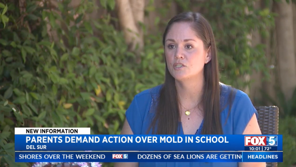 A news report showing a woman speaking with the headline 