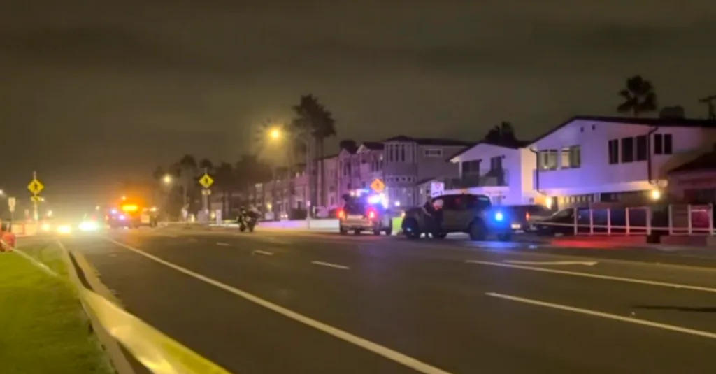Police vehicles with flashing lights on a road at night, investigating a fatal hit-and-run collision.