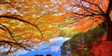 5 Ways to Celebrate the Autumn Equinox, According to a Therapist