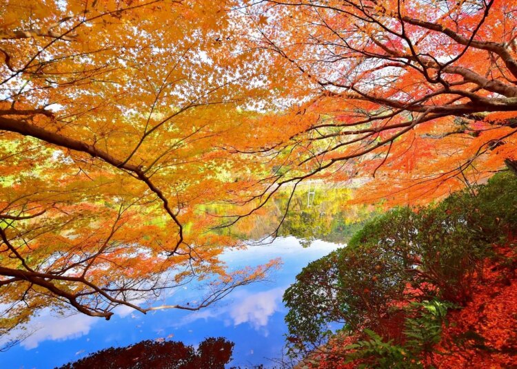 5 Ways to Celebrate the Autumn Equinox, According to a Therapist