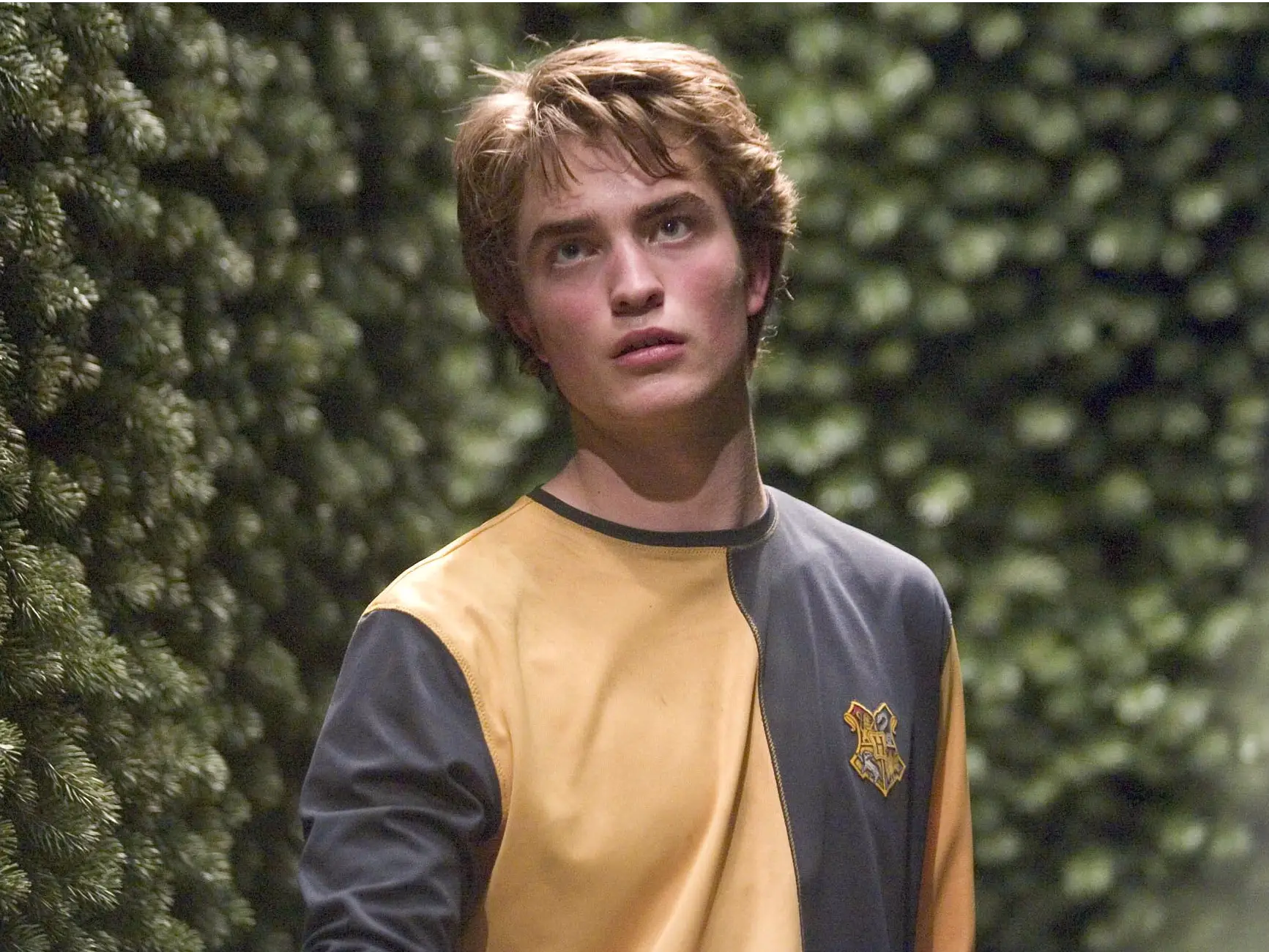 cedric diggory harry potter