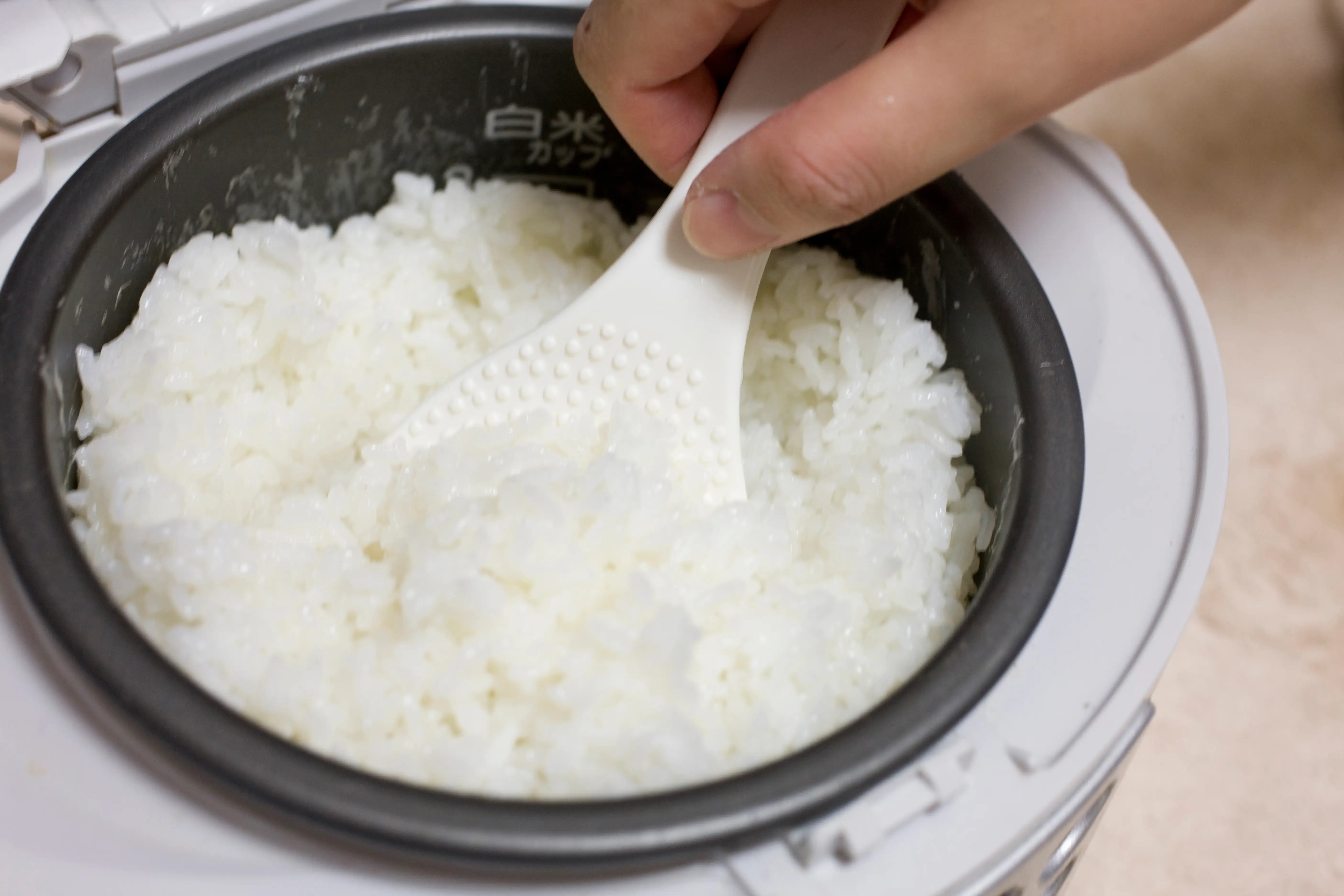 rice cooker white rice