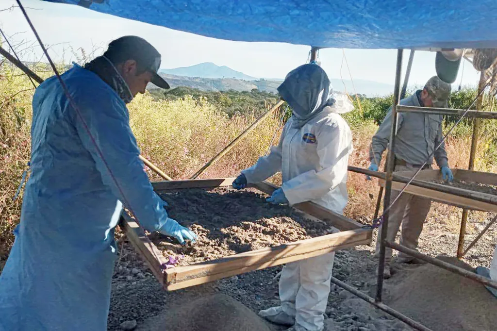 Archaeologists sifting through soil for baby teeth recovered from a clandestine burial site.