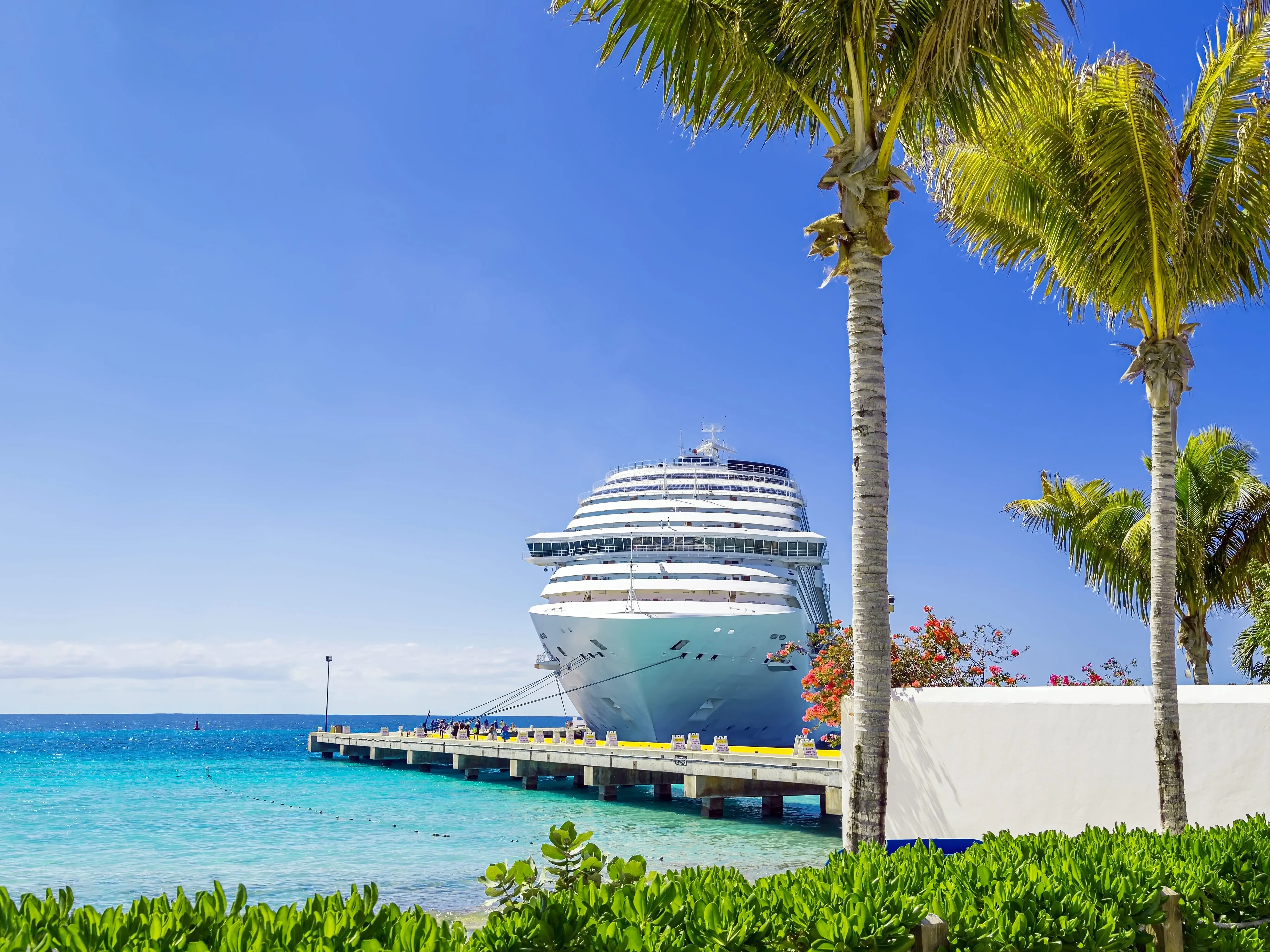 cruise ship docked in port