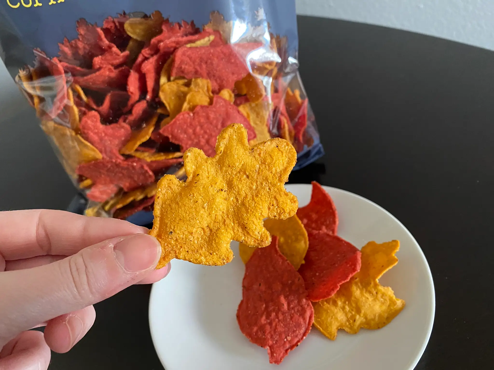 Bag of leaf-shaped tortilla chips with author holding one chip in front of bag