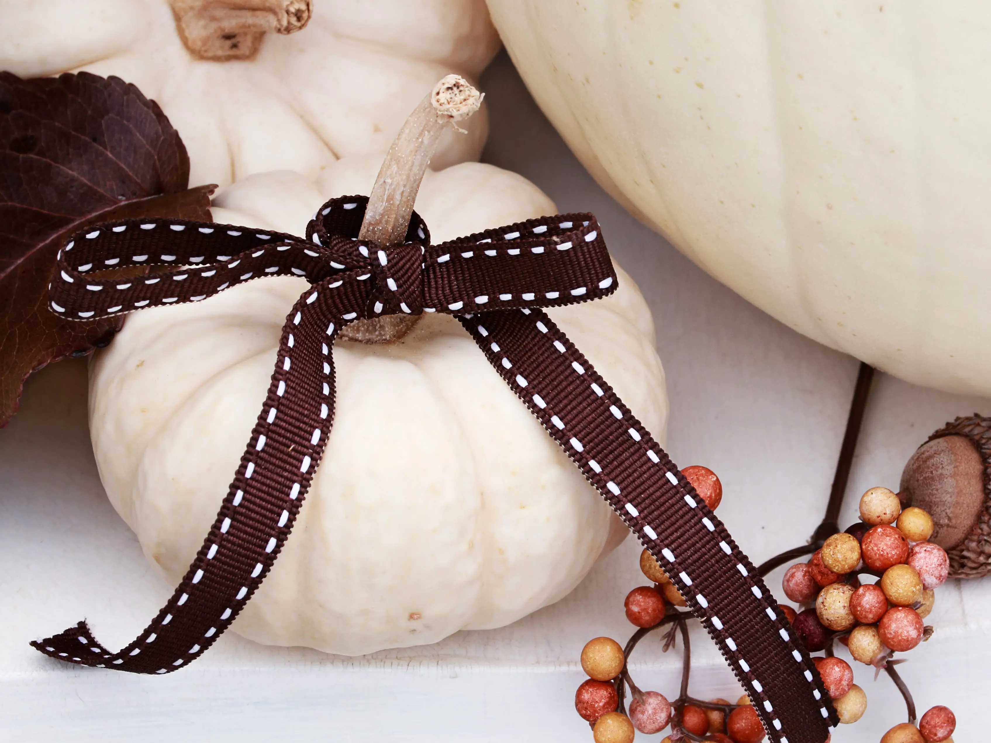 White pumpkin tied with a brown bow