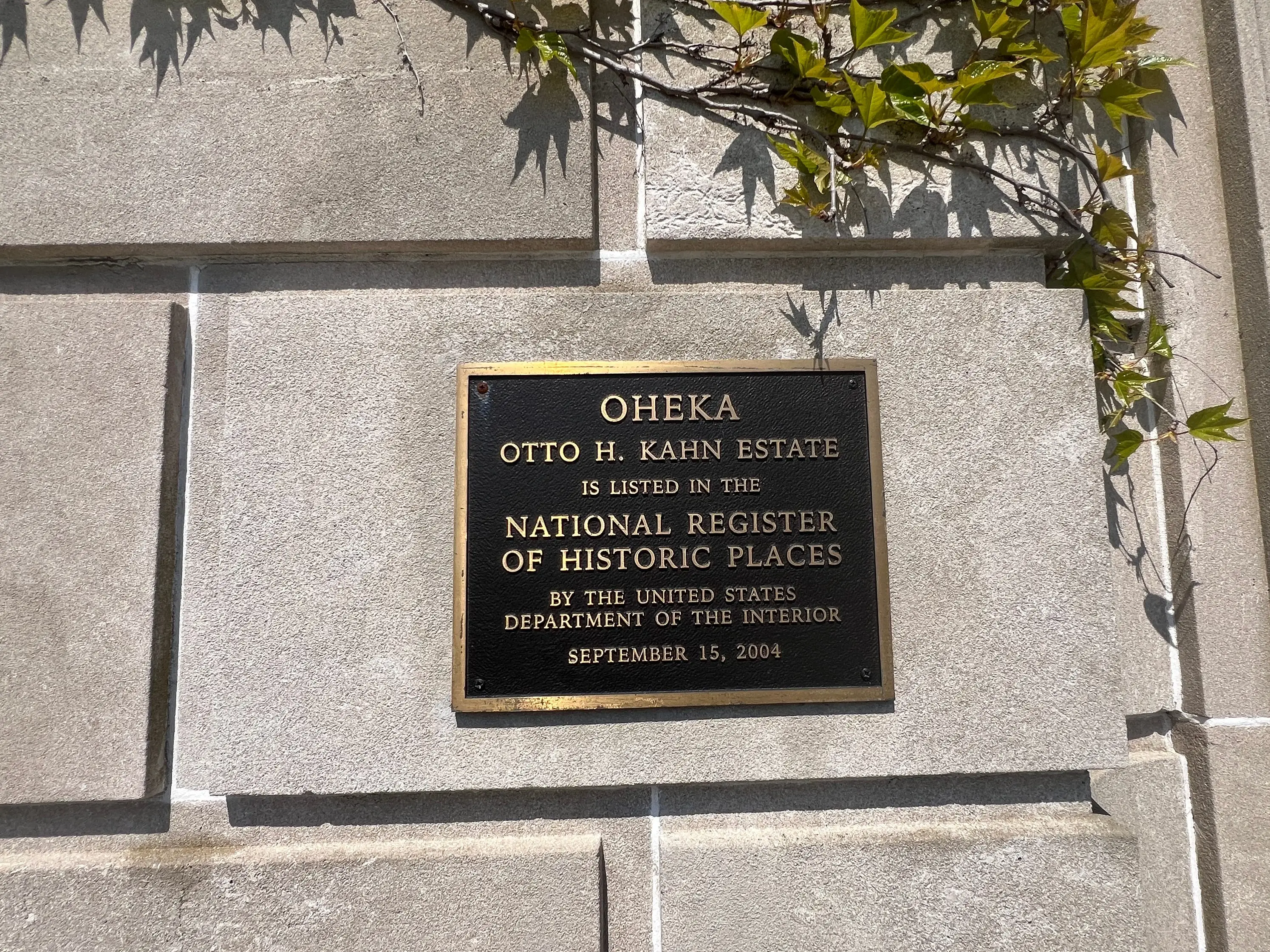 the plaque