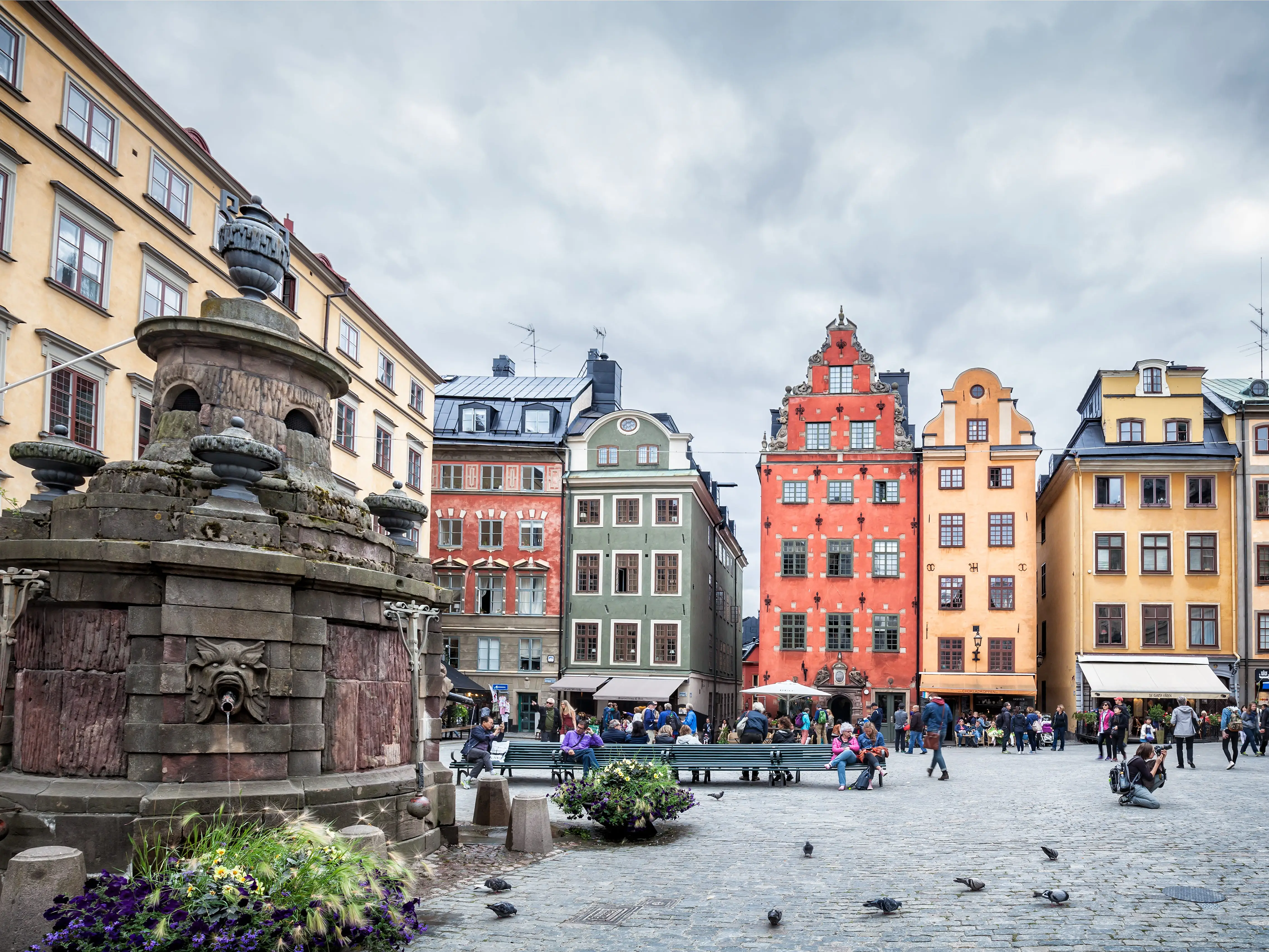 Birds and a fountain in the foreground of a courtyard, with tourists and colorful buildings in the background.