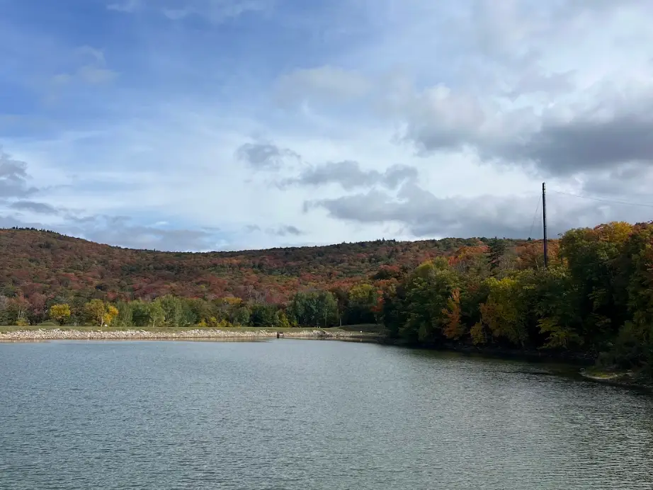 A lake with trees behind it.