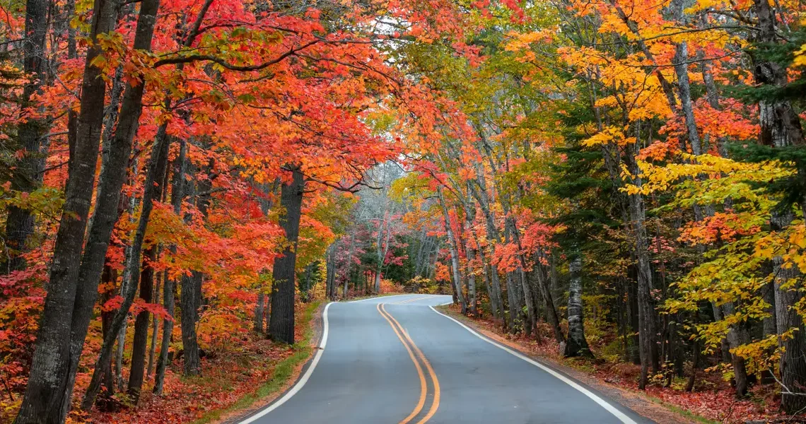 I’ve visited all 50 states solo, but there’s one region I keep coming back to in the fall