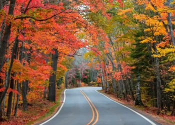 I’ve visited all 50 states solo, but there’s one region I keep coming back to in the fall