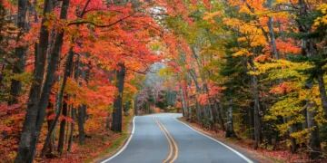 I’ve visited all 50 states solo, but there’s one region I keep coming back to in the fall