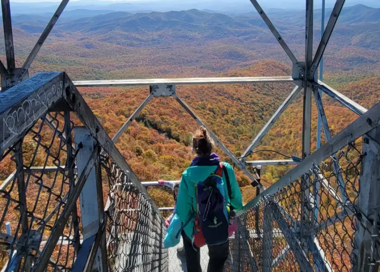 I’ve lived in the Carolinas for years. There’s one small town I swear by visiting every fall.