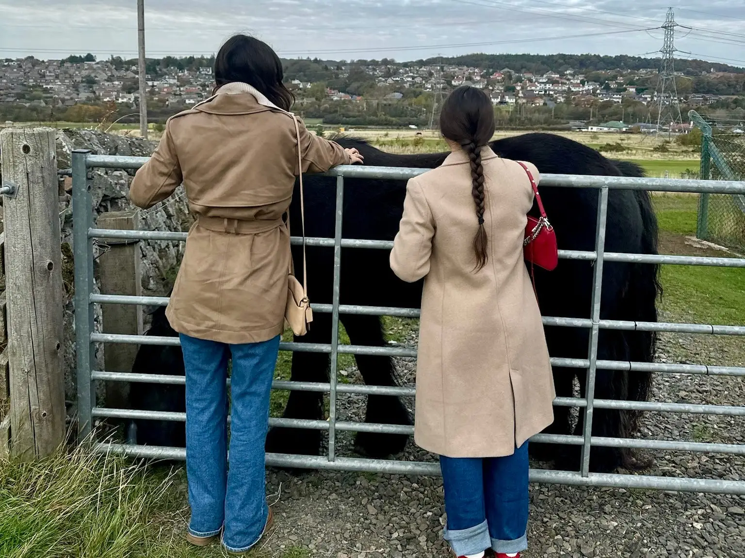Two girls with their backs to the camera, petting a horse.