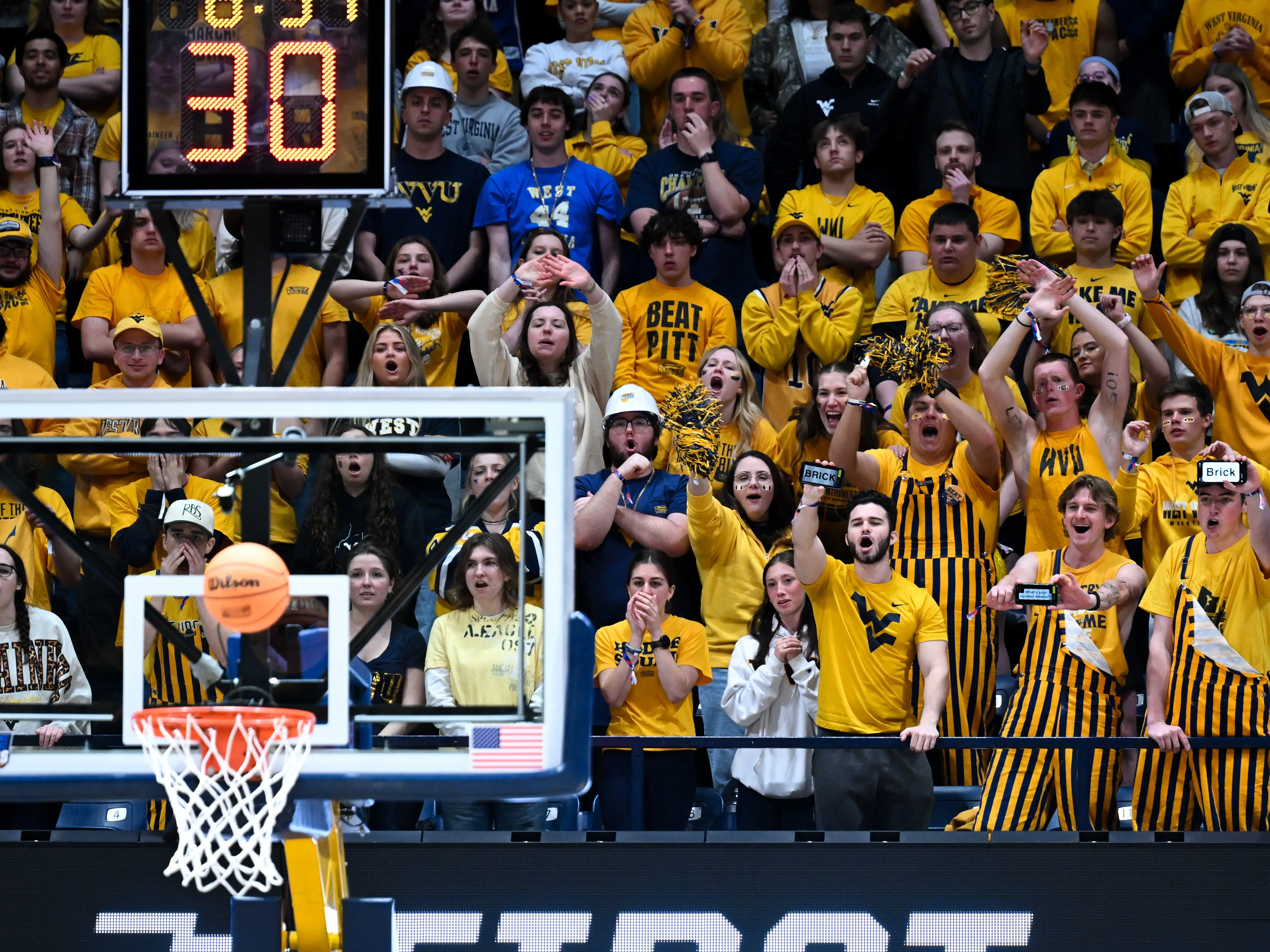 West Virginia Mountaineer fans cheer