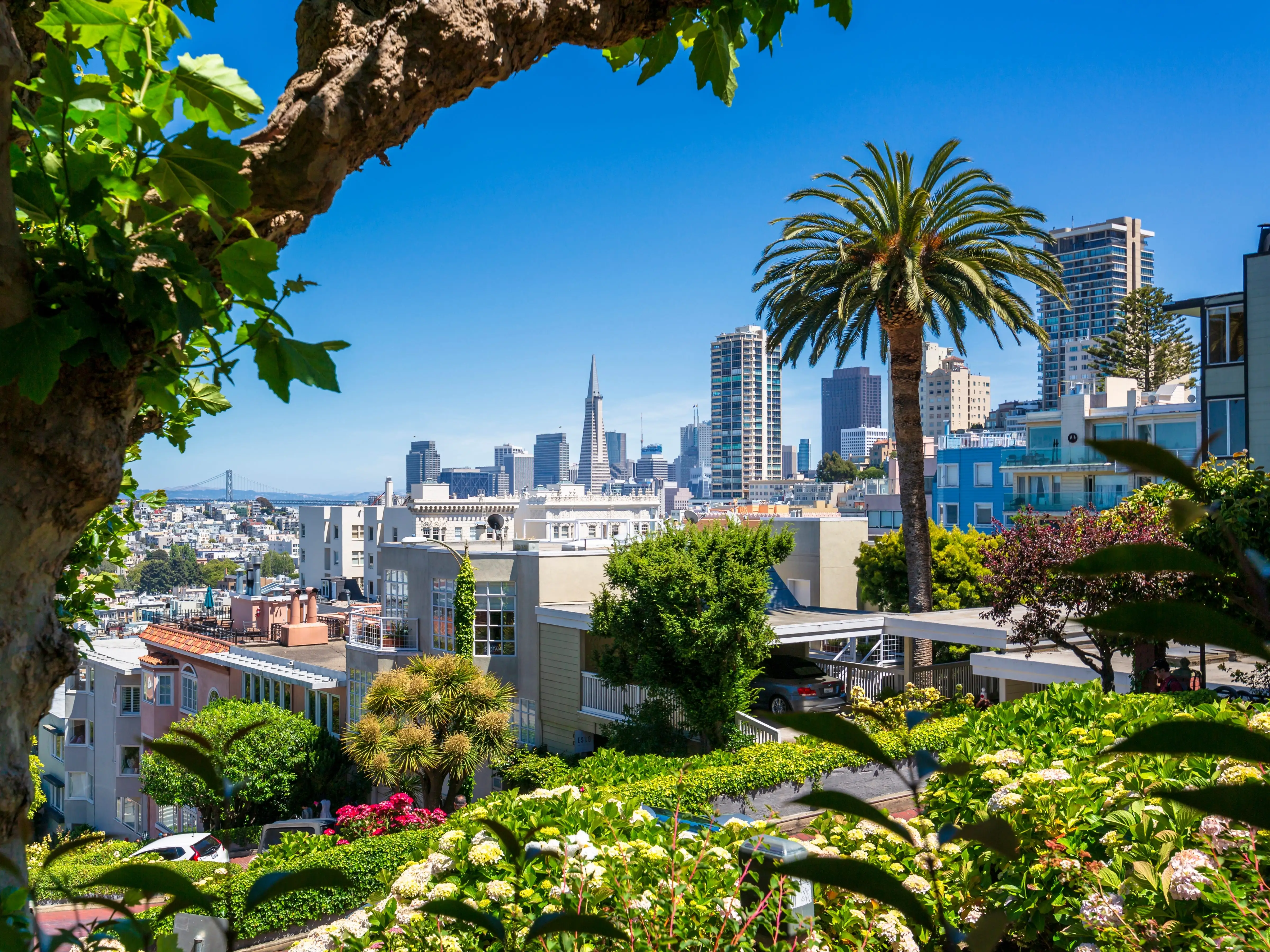 Downtown San Francisco with the Transamerica Pyramid from Lombard Street, San Francisco, California, United States of America, North America